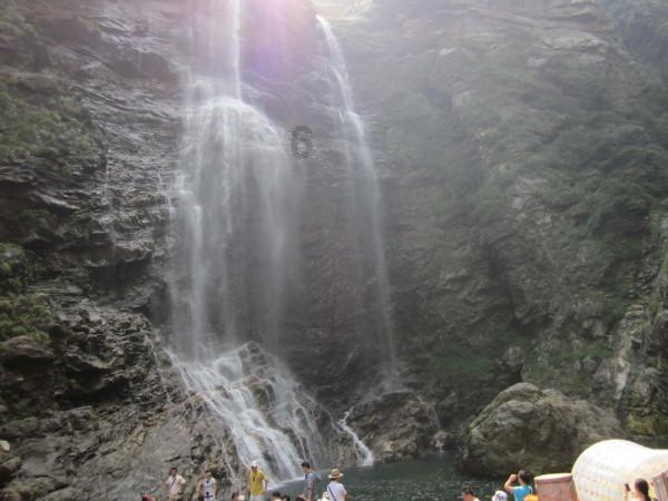 胎衣不下怎样防治？游戏画面